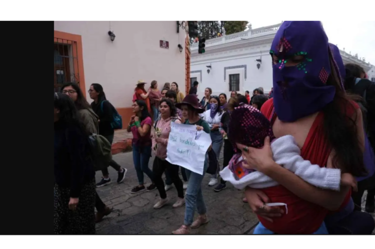 Gobierno prevé aumento presupuestal de apenas 0.02% para refugios de mujeres, ante alza de atención a víctimas de violencia