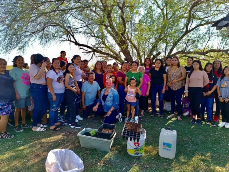 Desarrolla Reynosa agricultura urbana