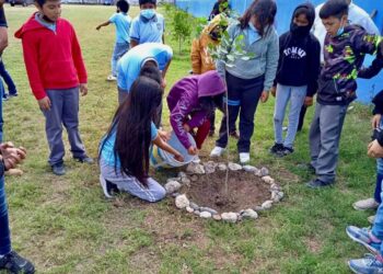 Escuelas de Reynosa se dedican a cuidar el medio ambiente con reforestación