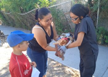 Marcha programa «EcoPatas» en Reynosa