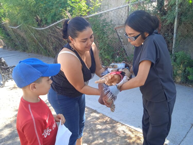 Marcha programa «EcoPatas» en Reynosa