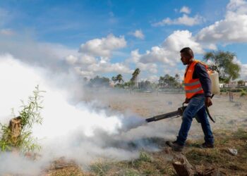 Fumiga el Gobierno de Reynosa calichera de Balcones de Alcalá