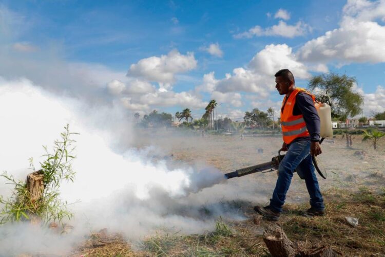 Fumiga el Gobierno de Reynosa calichera de Balcones de Alcalá