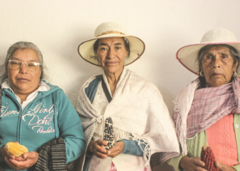 #MujeresQueLuchan: las que honran el maíz