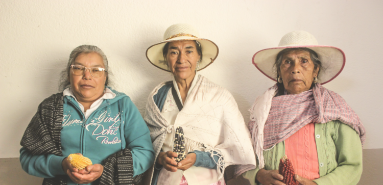 #MujeresQueLuchan: las que honran el maíz