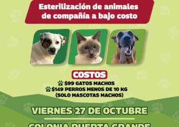 Llevará Gobierno de Reynosa programa EcoPatas a colonia Puerta Grande