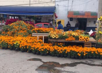 Se preparan en Victoria para el Día de Muertos