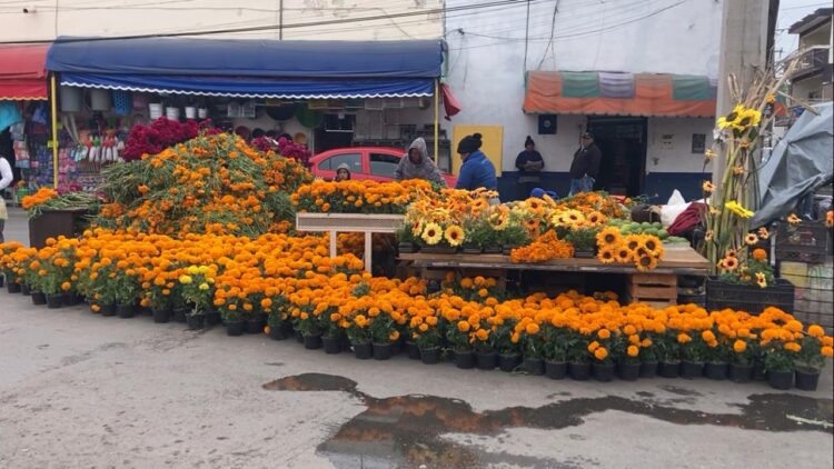 Se preparan en Victoria para el Día de Muertos