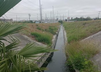 Gobierno de Reynosa realiza mantenimiento en avenidas