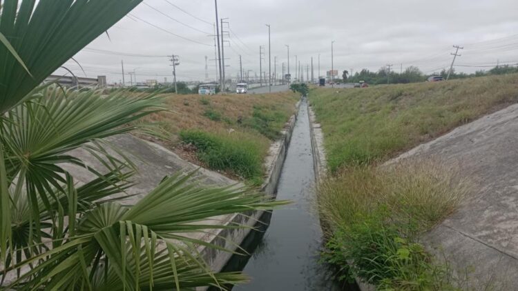 Gobierno de Reynosa realiza mantenimiento en avenidas