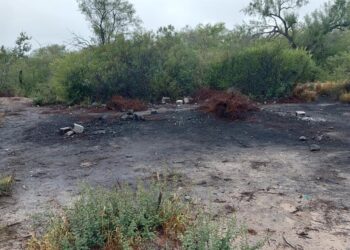 Reportan hallazgo de restos humanos en Casas, Tamaulipas