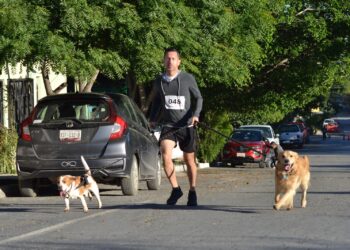 Promueve SEBIEN adopción responsable de mascotas