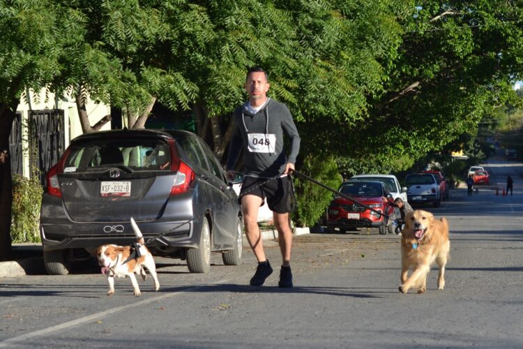 Promueve SEBIEN adopción responsable de mascotas