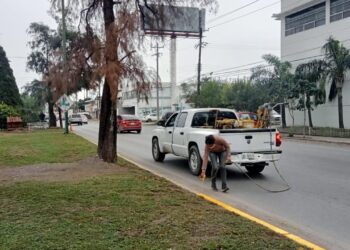 Continúa municipio embelleciendo la ciudad
