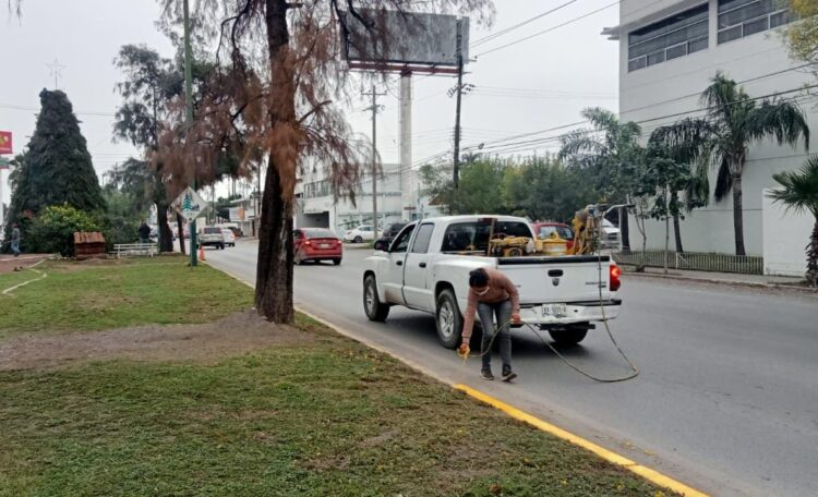 Continúa municipio embelleciendo la ciudad
