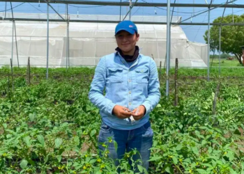 Identifica UAT plantas con potencial bioinsecticida