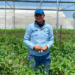 Identifica UAT plantas con potencial bioinsecticida