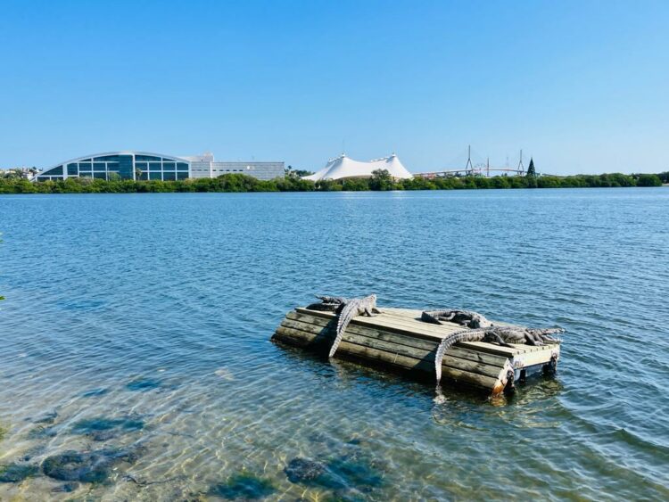 El 2023 fue el año más caluroso de la historia de la Tierra. Foto de Tania Villanueva para EnUn2x3