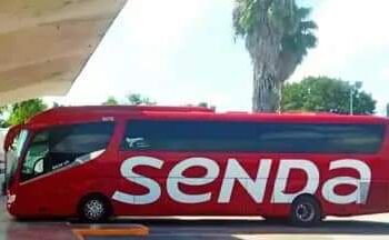 Desaparecen 31 migrantes que viajaban en autobús, confirma vocería