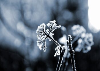 Recomendaciones ante llegada del frente frío 27. Foto de Unsplash