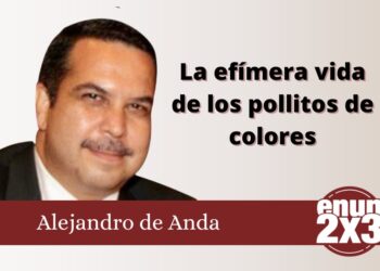 La efímera vida de los pollitos de colores