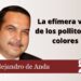 La efímera vida de los pollitos de colores