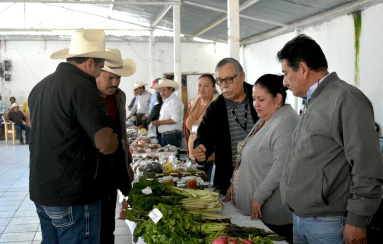 Agroproductores participan en Tianguis Rural en Jaumave