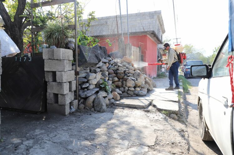 Pide Secretaría de Salud redoblar prevención contra el dengue