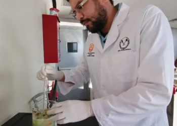 Identifica UAT plantas con potencial bioinsecticida