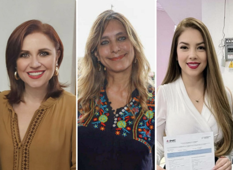 ¿Quiénes son las mujeres y hombres que quieren ser senadores de Tamaulipas?. Foto de redes sociales