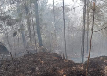 Incendio en Hidalgo provoca afectaciones en 180 hectáreas
