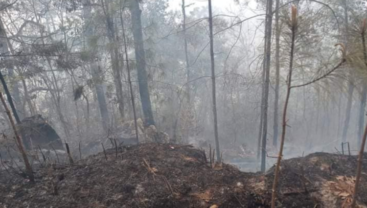 Incendio en Hidalgo provoca afectaciones en 180 hectáreas