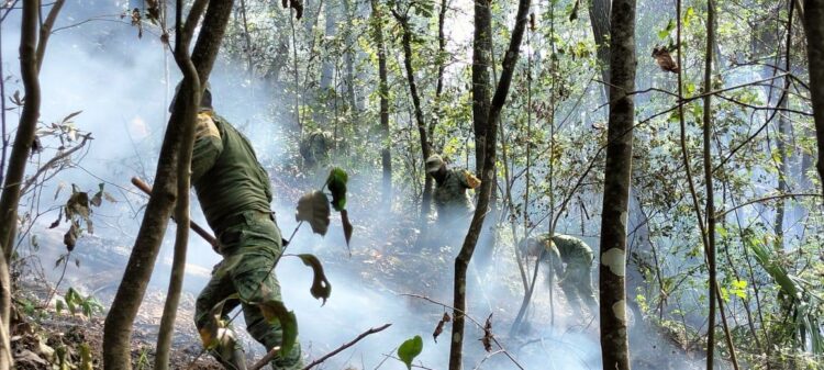 Controlan incendio en Hidalgo; destruyó 240 hectáreas