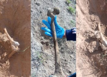 Sexto hallazgo de restos óseos en el año en Reynosa