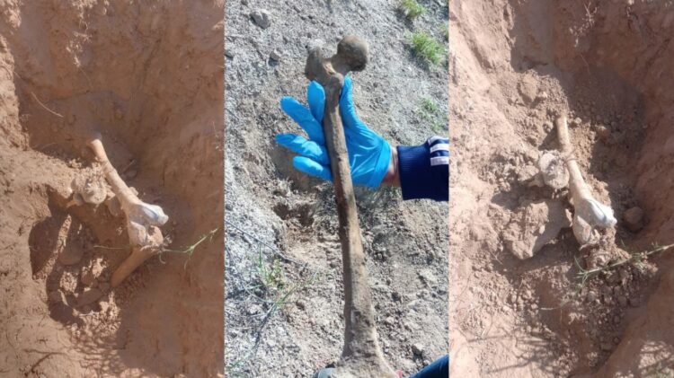 Sexto hallazgo de restos óseos en el año en Reynosa