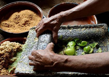 Raíces: Una aventura gastronómica mexicana