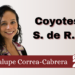 Coyotes, S. de R.L.
