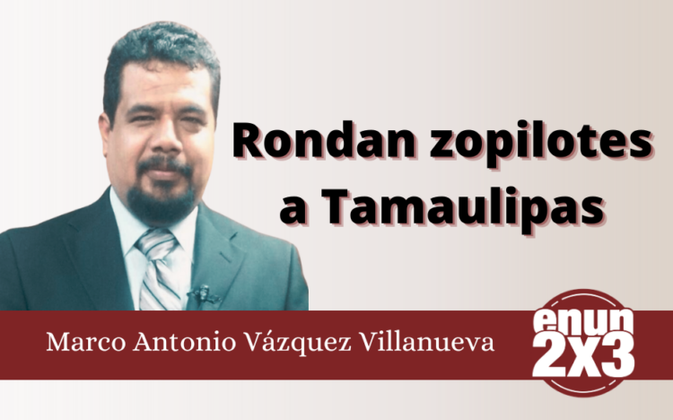 Rondan zopilotes a Tamaulipas