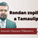 Rondan zopilotes a Tamaulipas