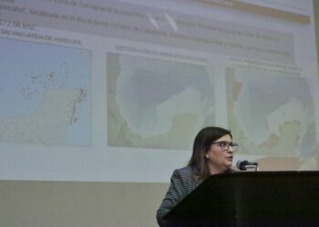 Exploran coexistencia entre arrecifes artificiales y extracción de hidrocarburos