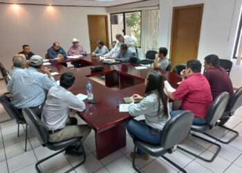 Trabaja Gobierno del Estado en coordinación con asociaciones de apicultores