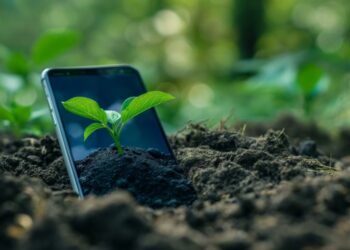 Cinco ‘ecoapps’ para cuidar el medio ambiente este 2024