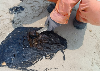 Detectan presencia de hidrocarburo en playa Miramar y Tesoro