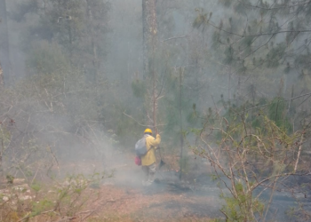 Incendio en el Cañón del Novillo ya rebasa las 2 mil hectáreas