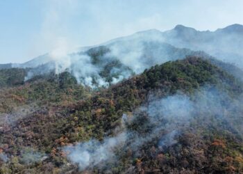 Incendio en el Cañón del Novillo liquidado al 80 por ciento