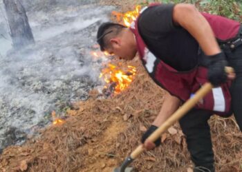 Más de 400 brigadistas combaten incendio forestal