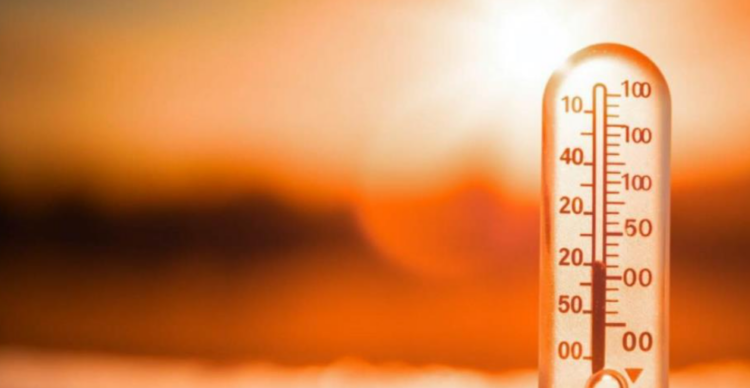 Ola de calor en Tamaulipas provocará sensación térmica de más de 50 grados Celsius