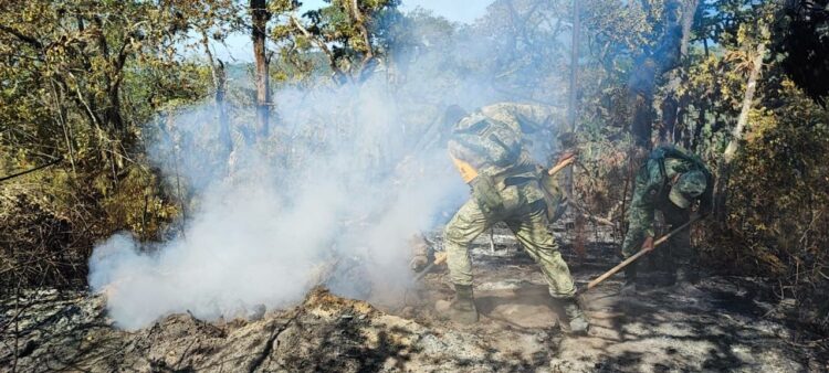 Van 260 hectáreas afectadas por incendios en Tula y Jaumave, Tamaulipas