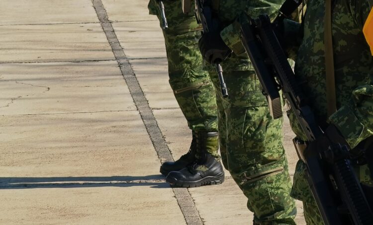 Ejército Mexicano. Foto de Alejandro Echartea