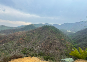 PC reporta liquidación total del incendio en el Cañón del Novillo